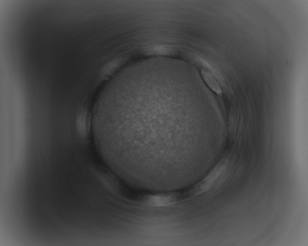 X0000101120168200807101551