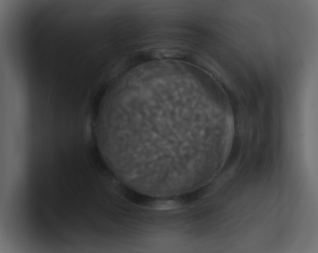 X0000101120169200807101551
