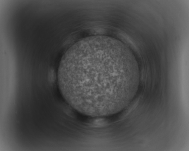 X0000101120173200807101551