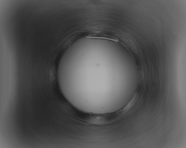 X0000101120174200807101551
