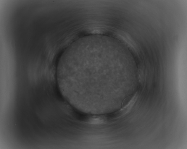 X0000101120175200807101551