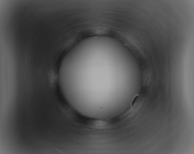 X0000101120176200807101551