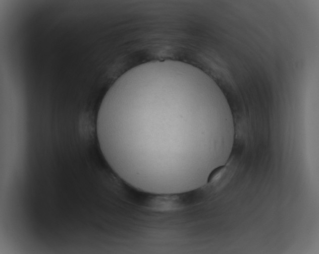 X0000101120179200807101551