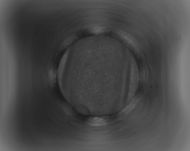 X0000101120180200807101551
