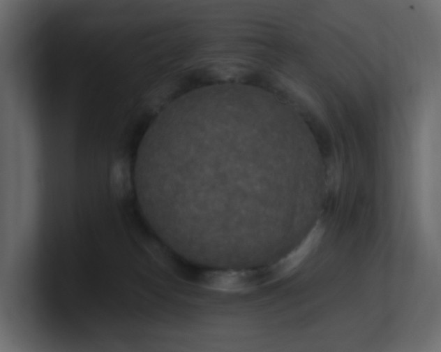 X0000101120182200807101551