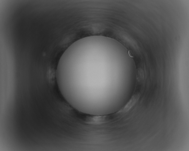 X0000101120184200807101551