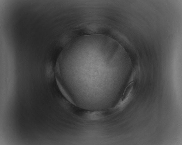 X0000101120186200807101551