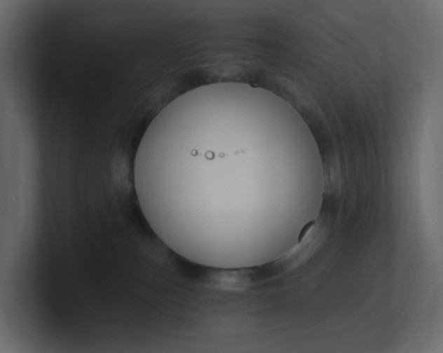 X0000101120187200807101551