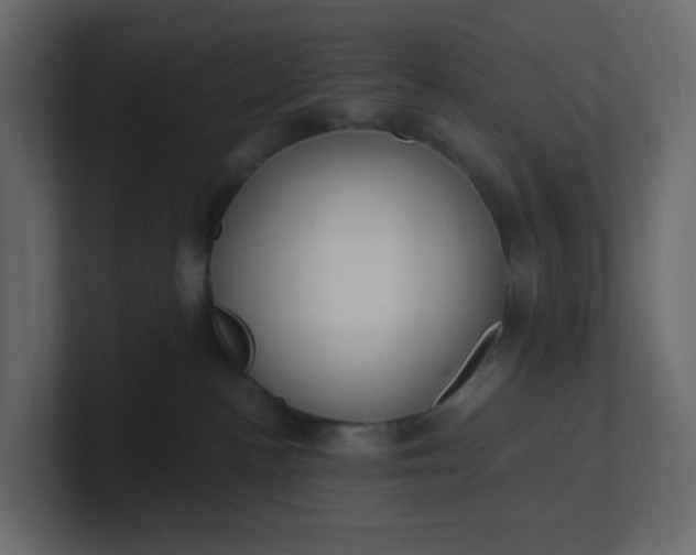 X0000101120188200807101551