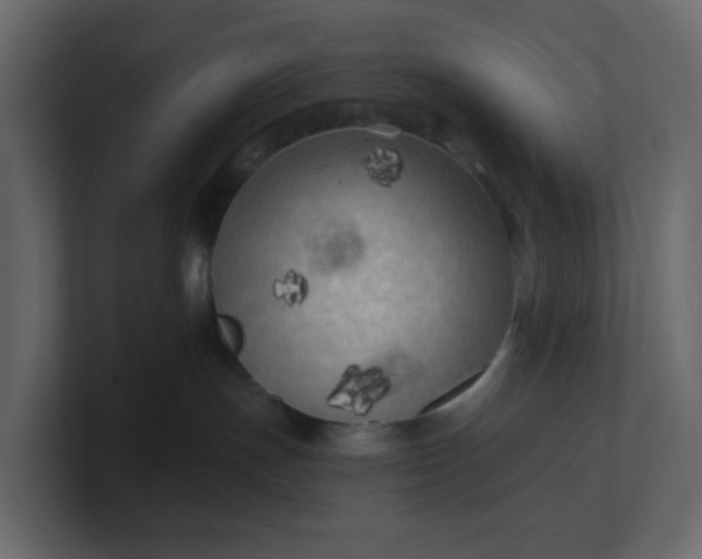 X0000101120191200807101551