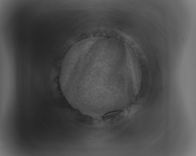 X0000101120192200807101551