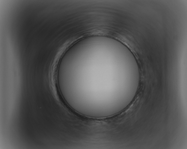 X0000101120193200807101550