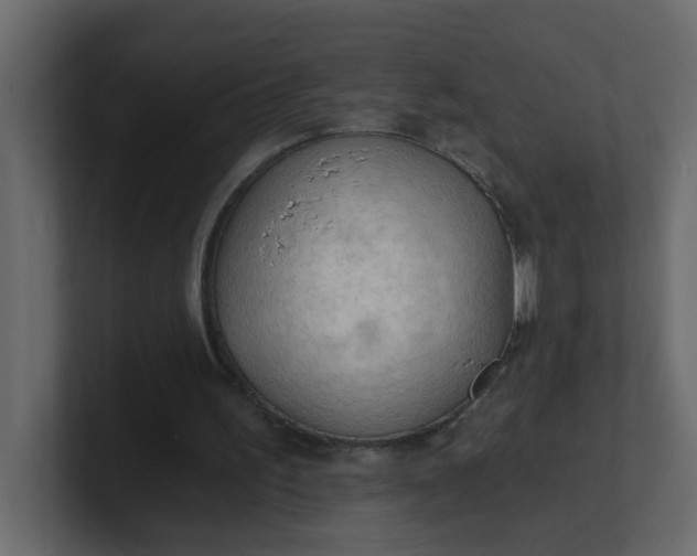 X0000101120195200807101550