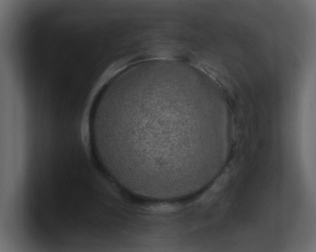 X0000101120198200807101550