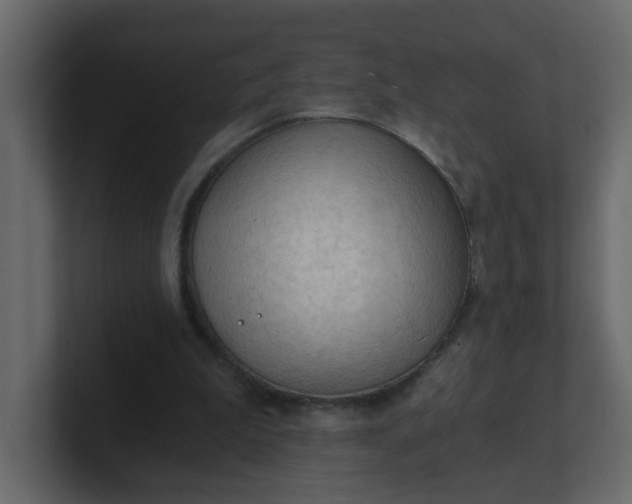 X0000101120199200807101550