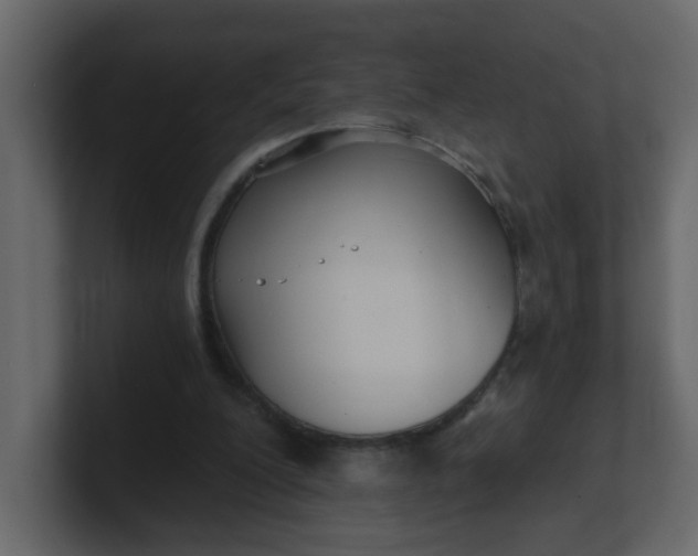 X0000101120200200807101550