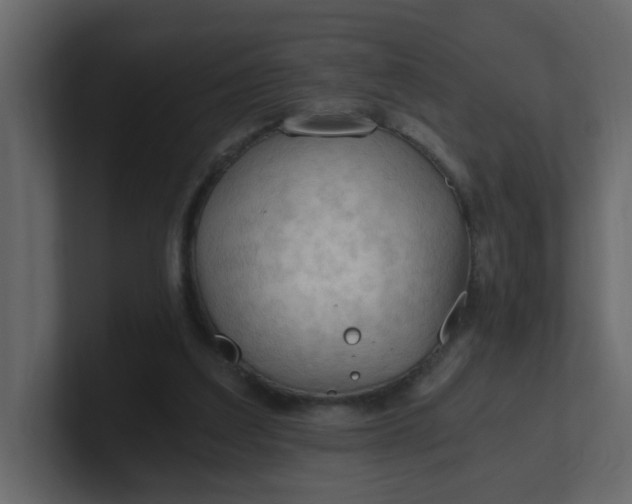 X0000101120203200807101550