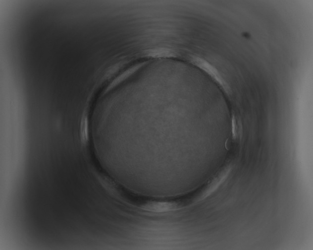 X0000101120205200807101550