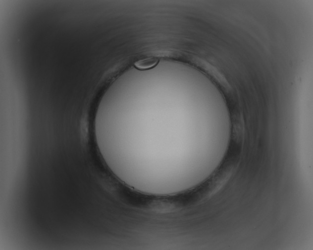 X0000101120207200807101550