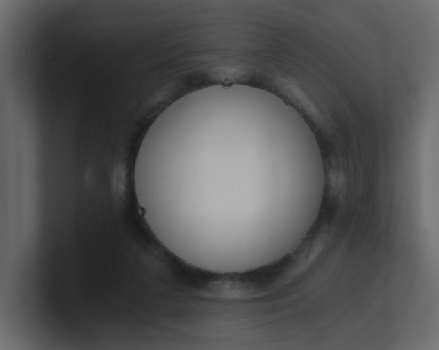 X0000101120211200807101550