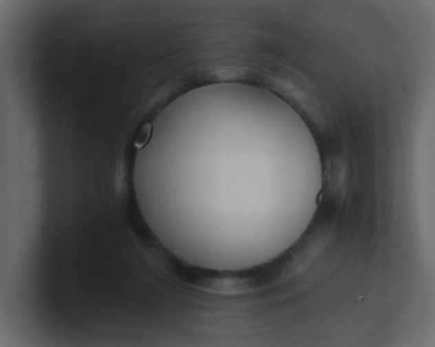 X0000101120212200807101550
