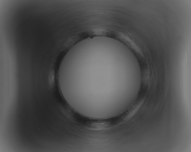 X0000101120213200807101550