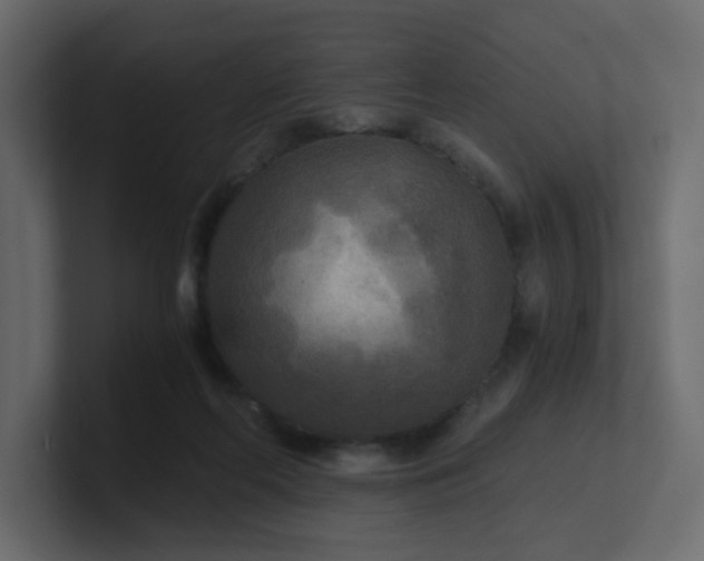 X0000101120214200807101550
