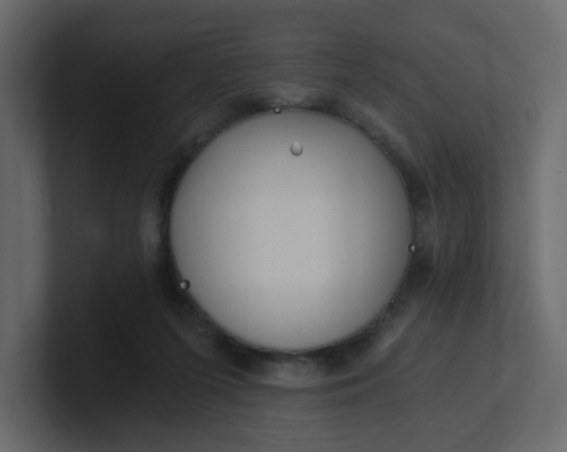 X0000101120215200807101550