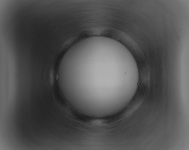 X0000101120216200807101550
