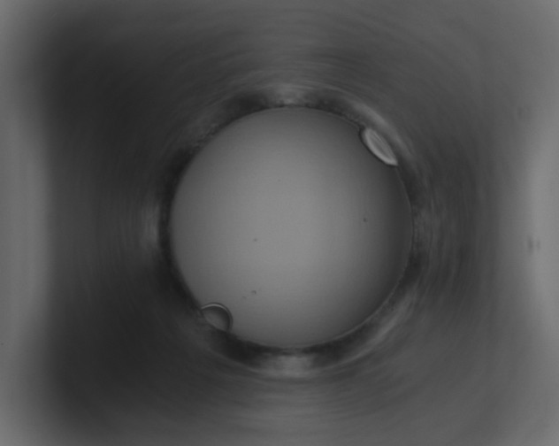 X0000101120217200807101550