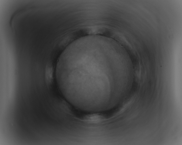 X0000101120219200807101550