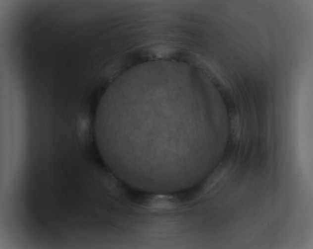 X0000101120222200807101550