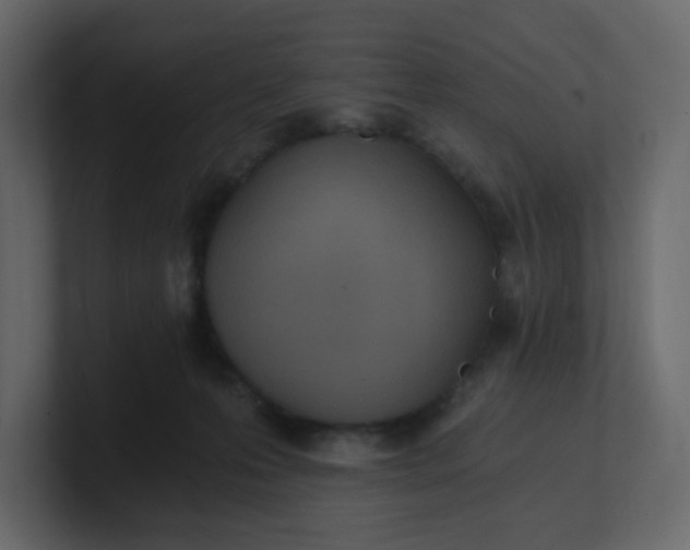 X0000101120223200807101550