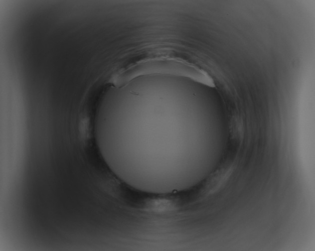 X0000101120224200807101550