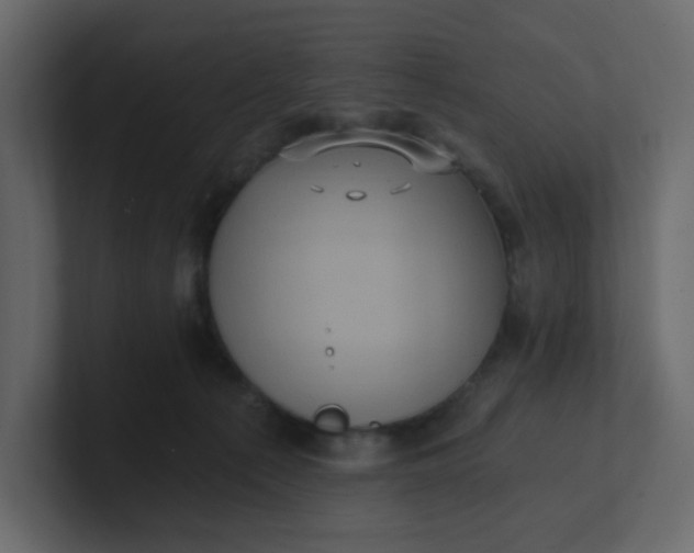 X0000101120225200807101550