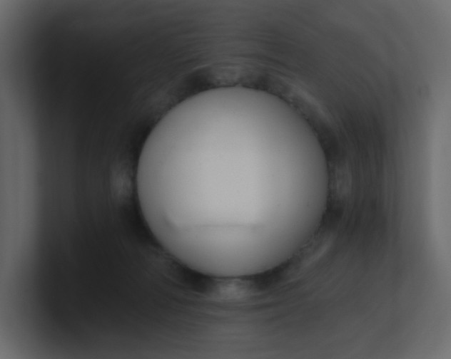 X0000101120226200807101550