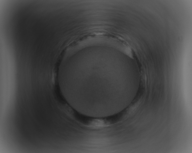 X0000101120227200807101550