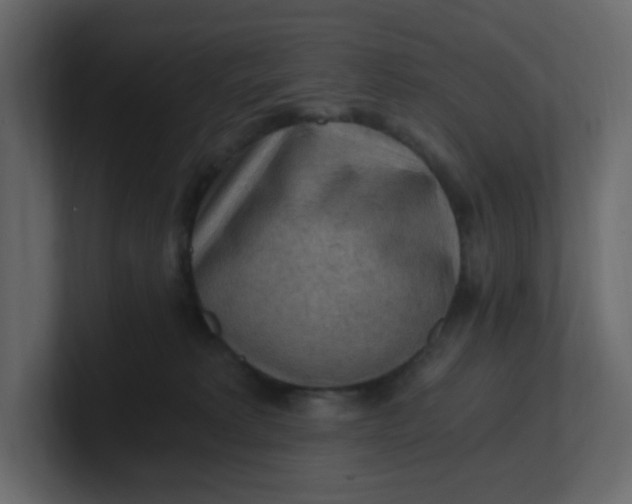 X0000101120229200807101550