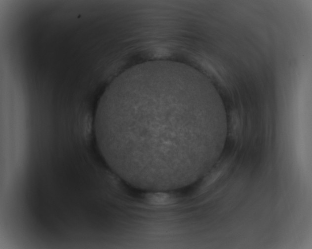 X0000101120230200807101550