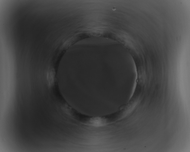 X0000101120231200807101550