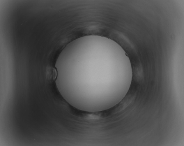 X0000101120232200807101550