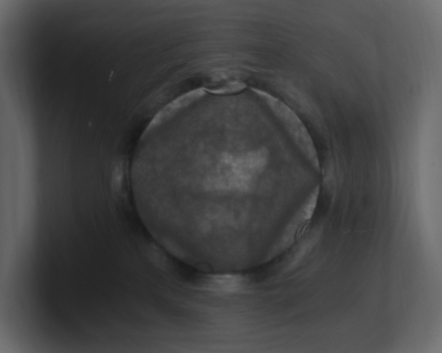 X0000101120233200807101550
