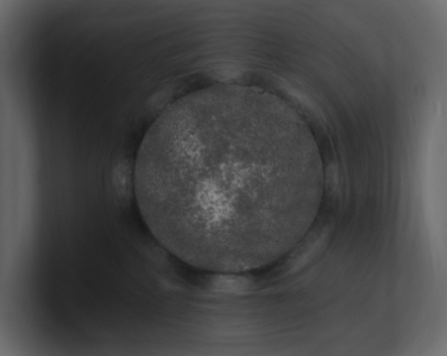 X0000101120234200807101550