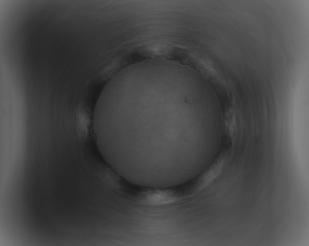 X0000101120235200807101550