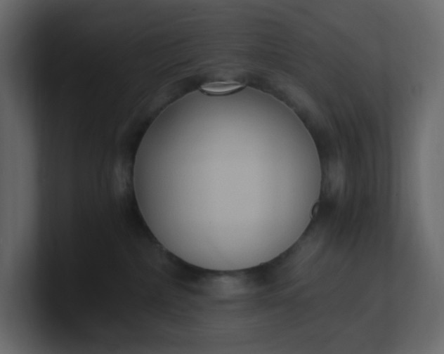 X0000101120236200807101550