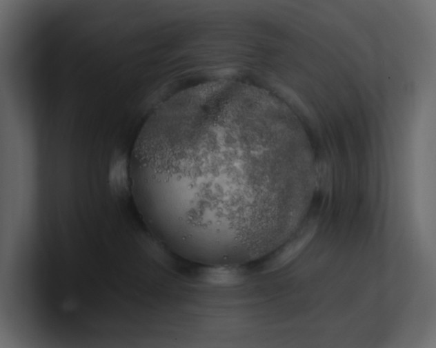 X0000101120238200807101550
