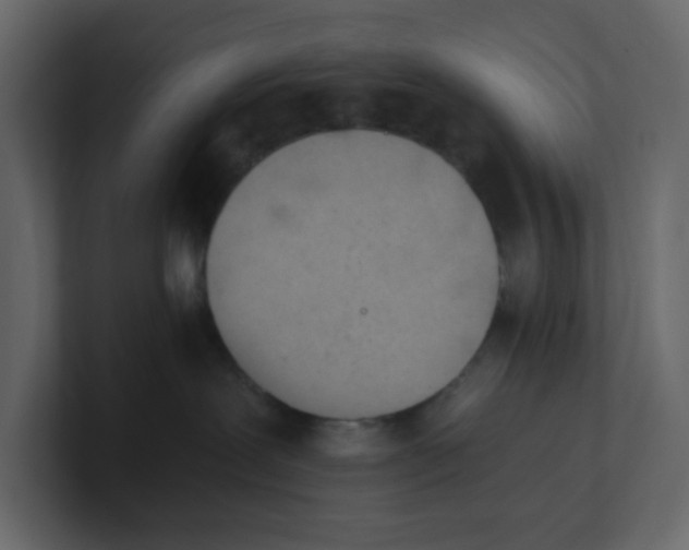 X0000101120239200807101550