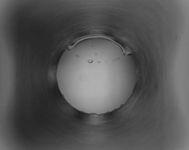 X0000101120240200807101550