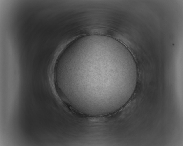 X0000101120241200807101549