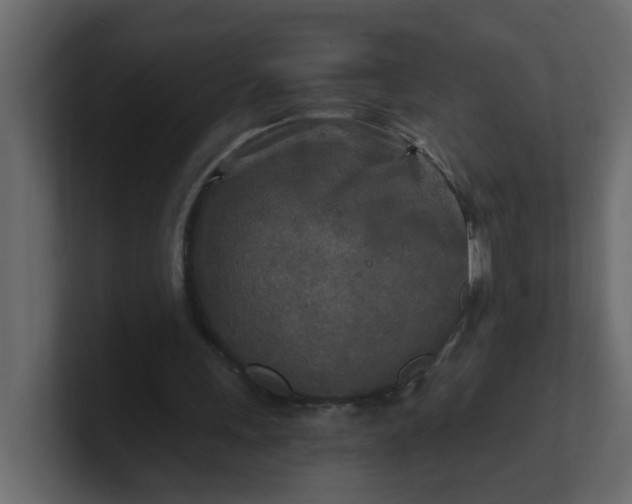 X0000101120243200807101549